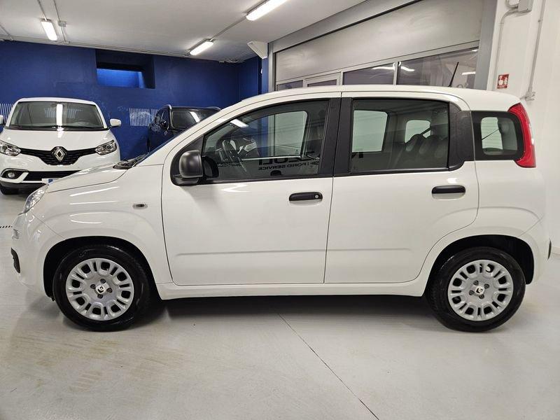 FIAT Panda 1.0 FireFly 70cv S&S Hybrid Pandina