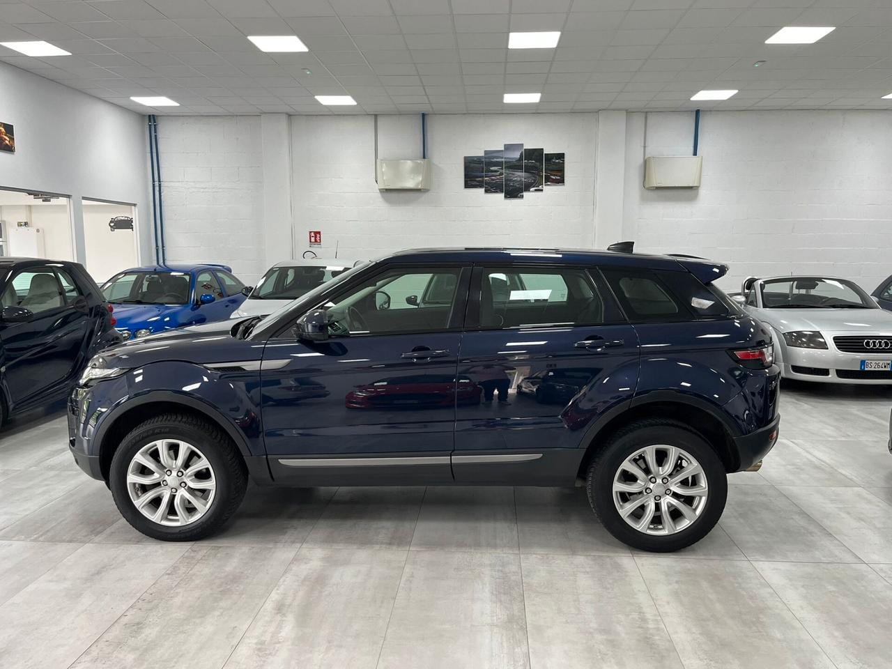Land Rover Range Rover Evoque 5p 2.0 td4 SE Business edition 150cv auto
