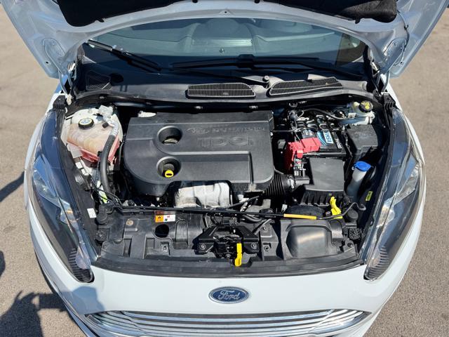 FORD Fiesta 1.5 TDCi 75CV 5 porte Titanium
