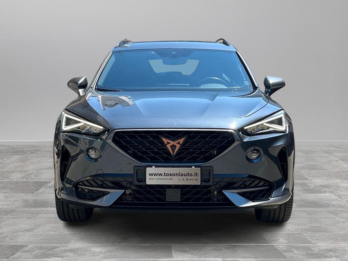 CUPRA Formentor 2.0 tsi 4drive 190cv dsg