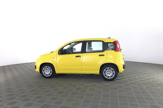 FIAT Pandina Pandina 1.0 FireFly 65 CV Hybrid Icon