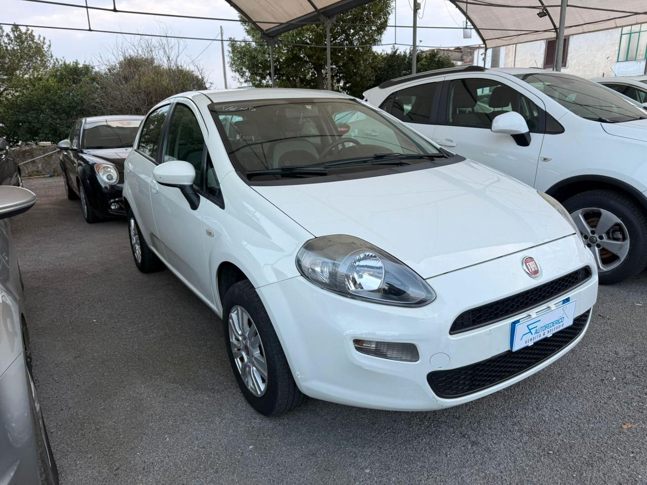 Fiat Punto 1.4 8V 5 porte Natural Power Easy