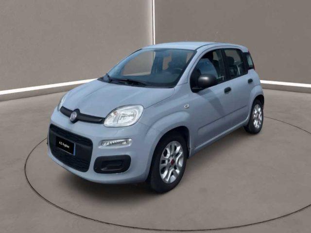 FIAT Panda 3ª serie - 1.0 FireFly S&S Hybrid