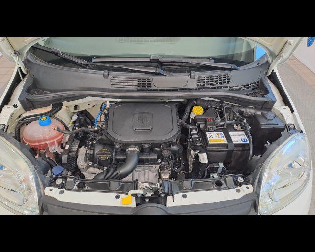 FIAT New Panda 1.0 firefly hybrid s&s 70cv 5p.ti