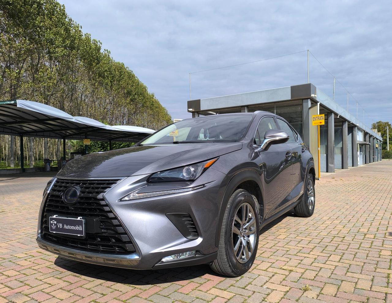 Lexus NX 300h Hybrid Business