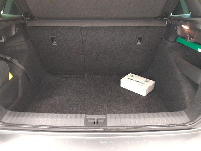 Skoda Kamiq Kamiq 1.0 TSI 110 CV DSG Monte Carlo