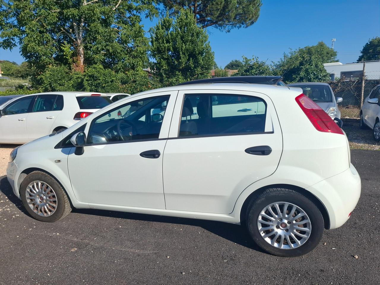 Fiat Punto 1.2 8V 5 porte Street NEOPATENTATI