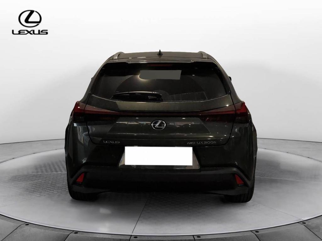 Lexus UX 300 2.0 Premium Hybrid Luxury 4WD Power Split Device