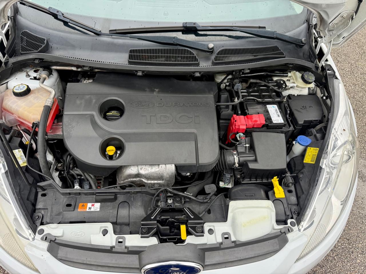 Ford Fiesta Diesel 1.4 TDCi euro5 NEOPATENTATI