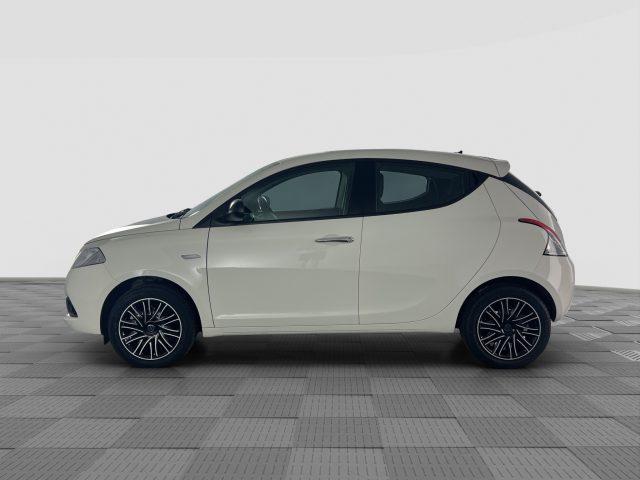 LANCIA Ypsilon Ypsilon 1.2 69 CV 5 porte S&S Gold