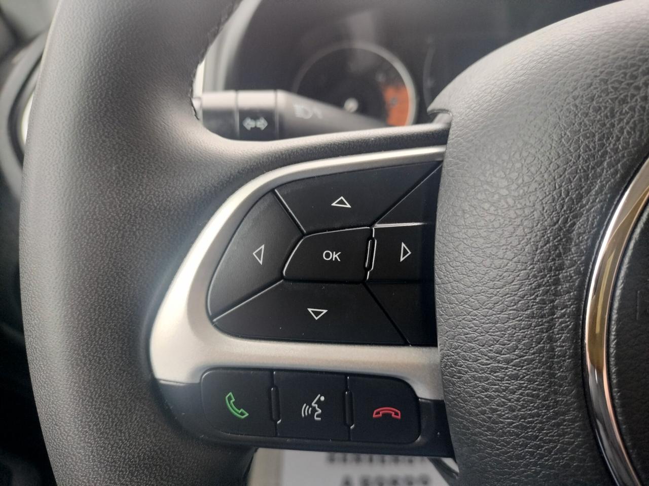 Jeep Renegade 1.6 Mjt 105 CV Business 98.000km