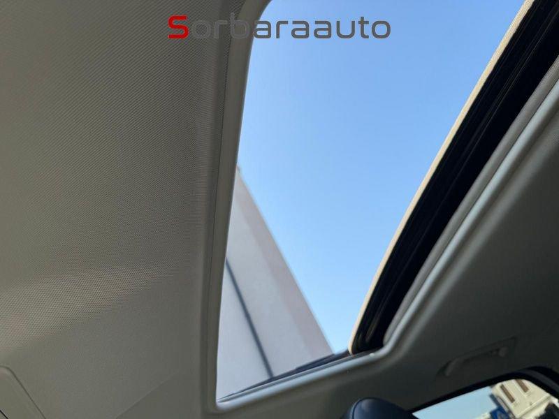 Ford EcoSport EcoSport 1.0 ecoboost Business s&s 125cv my18 + Tetto.