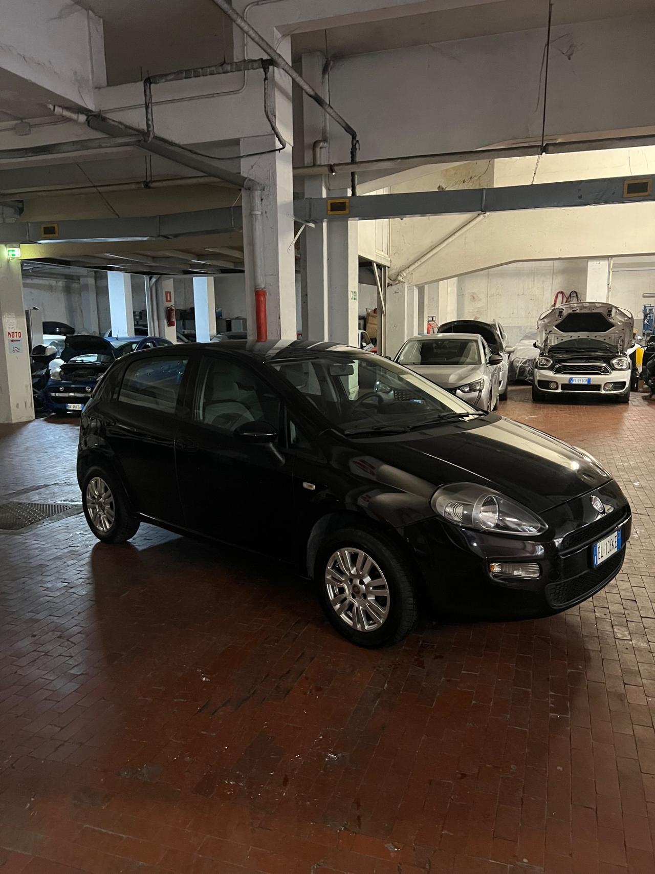 Fiat Punto Evo 1.4 GPL 77CV - neopatentati ok