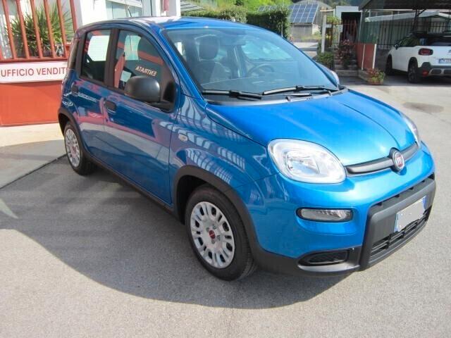 Fiat Panda 1.0 FireFly S&S Hybrid NEOPATENTATI