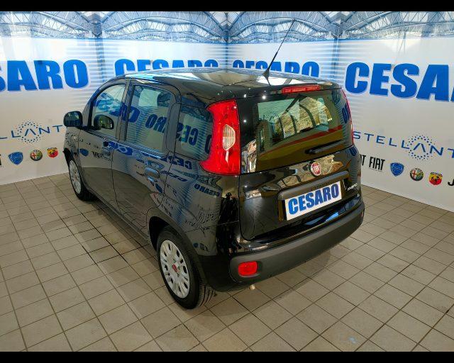 FIAT New Panda 1.0 firefly hybrid 70cv 5 posti