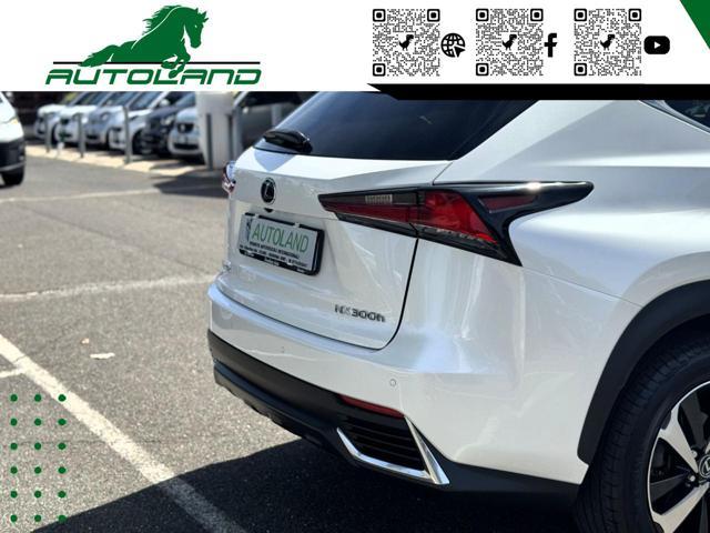 LEXUS NX 300 Hybrid 4WD Executive 155 CV