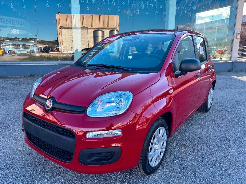 FIAT Panda 3ª serie Panda 1.0 FireFly S&S Hybrid