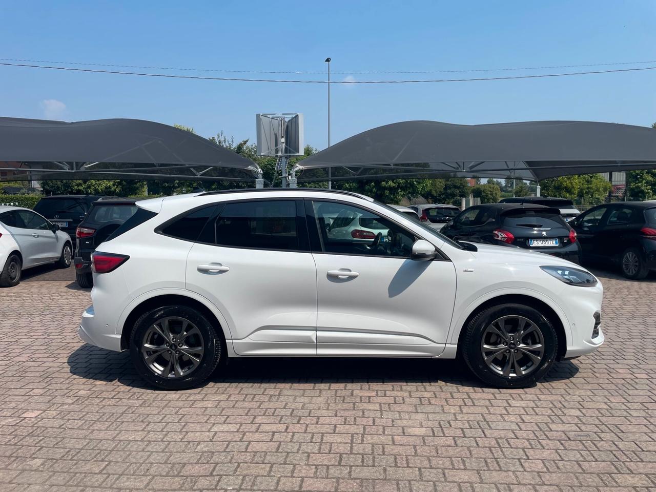 Ford Kuga 1.5 EcoBlue 120 CV aut. 2WD ST-Line X
