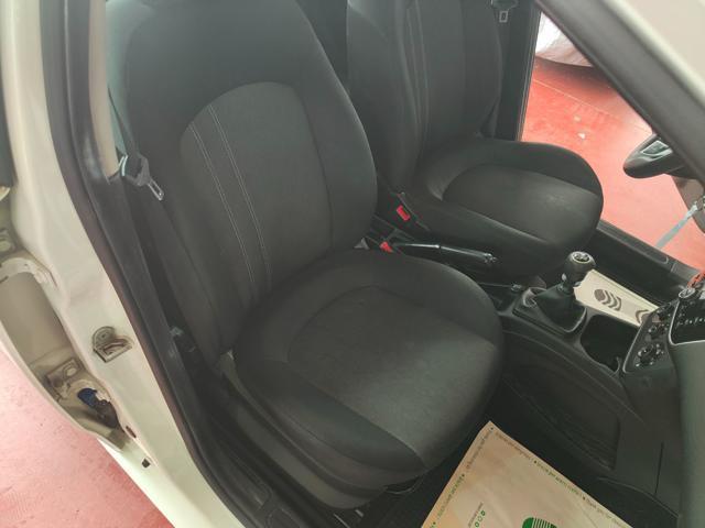FIAT Punto 1.2 Benz. 5 Porte ( GARANZIA )