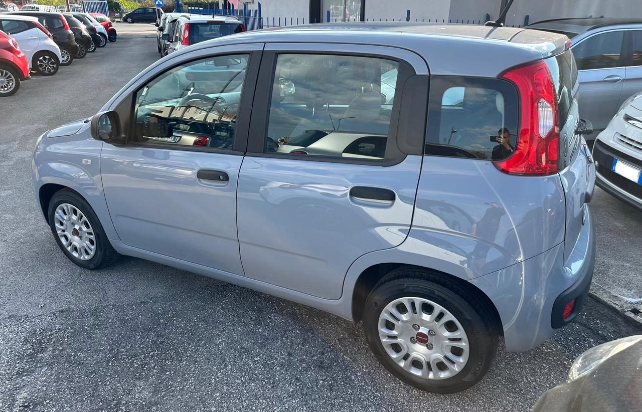 Fiat Panda 1.0 FireFly S&S Hybrid 2021