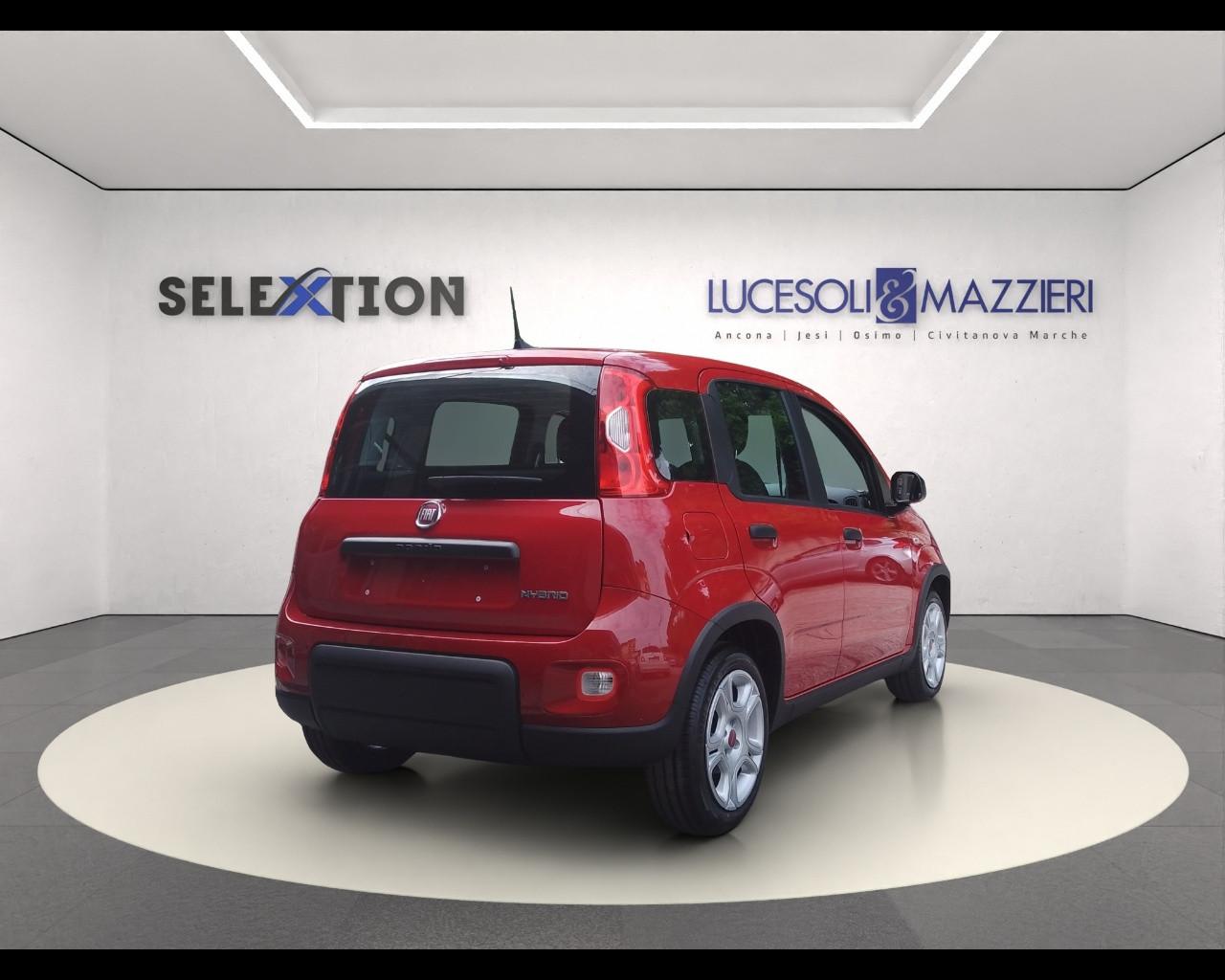 FIAT Panda 3ª serie - Panda 1.0 FireFly S&S Hybrid