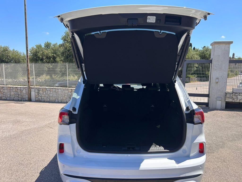 Ford Kuga 1.5 EcoBlue 120 CV ST-Line