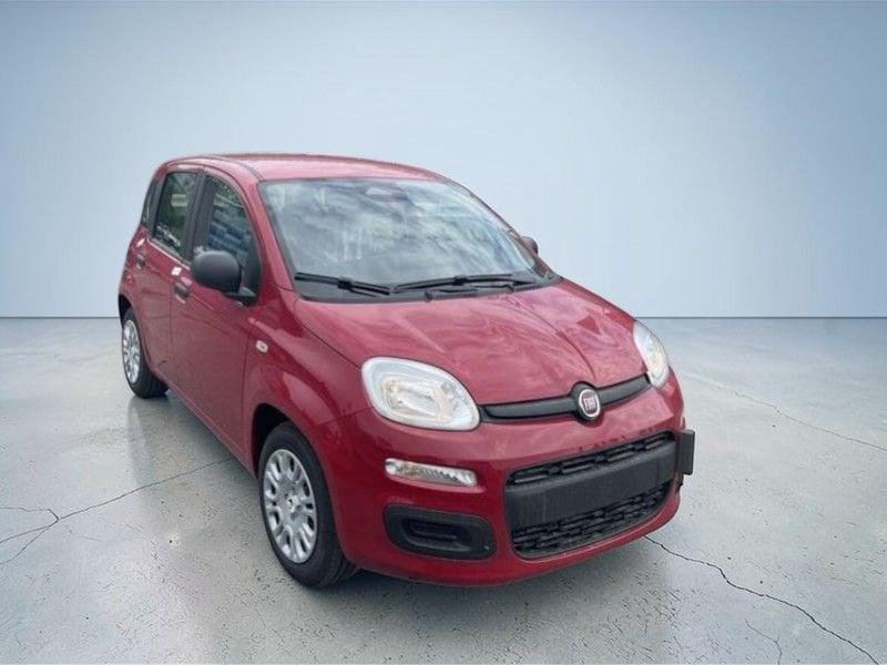 FIAT Panda SOLO PER GENNAIO ANCHE SENZA ROTTAMAZIONE
