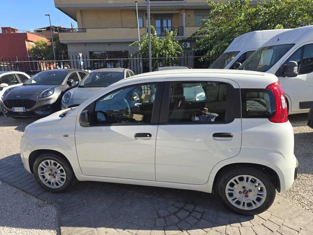 FIAT Panda 1.0 FireFly S&S Hybrid Eas 5 posti no obbligo fina
