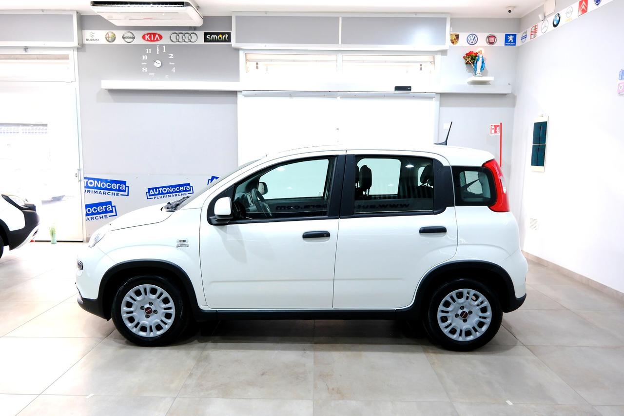 Fiat Panda Cross 1000 HYBRID 70cv CARPLAY