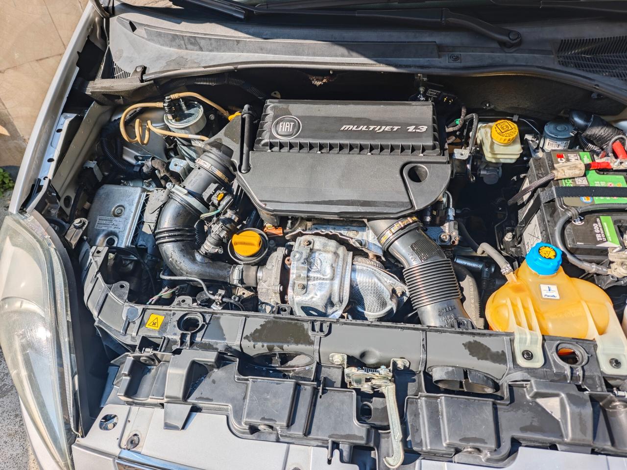 Fiat Punto Evo 1.3 Mjt 95 CV DPF 5 porte S&S Fun