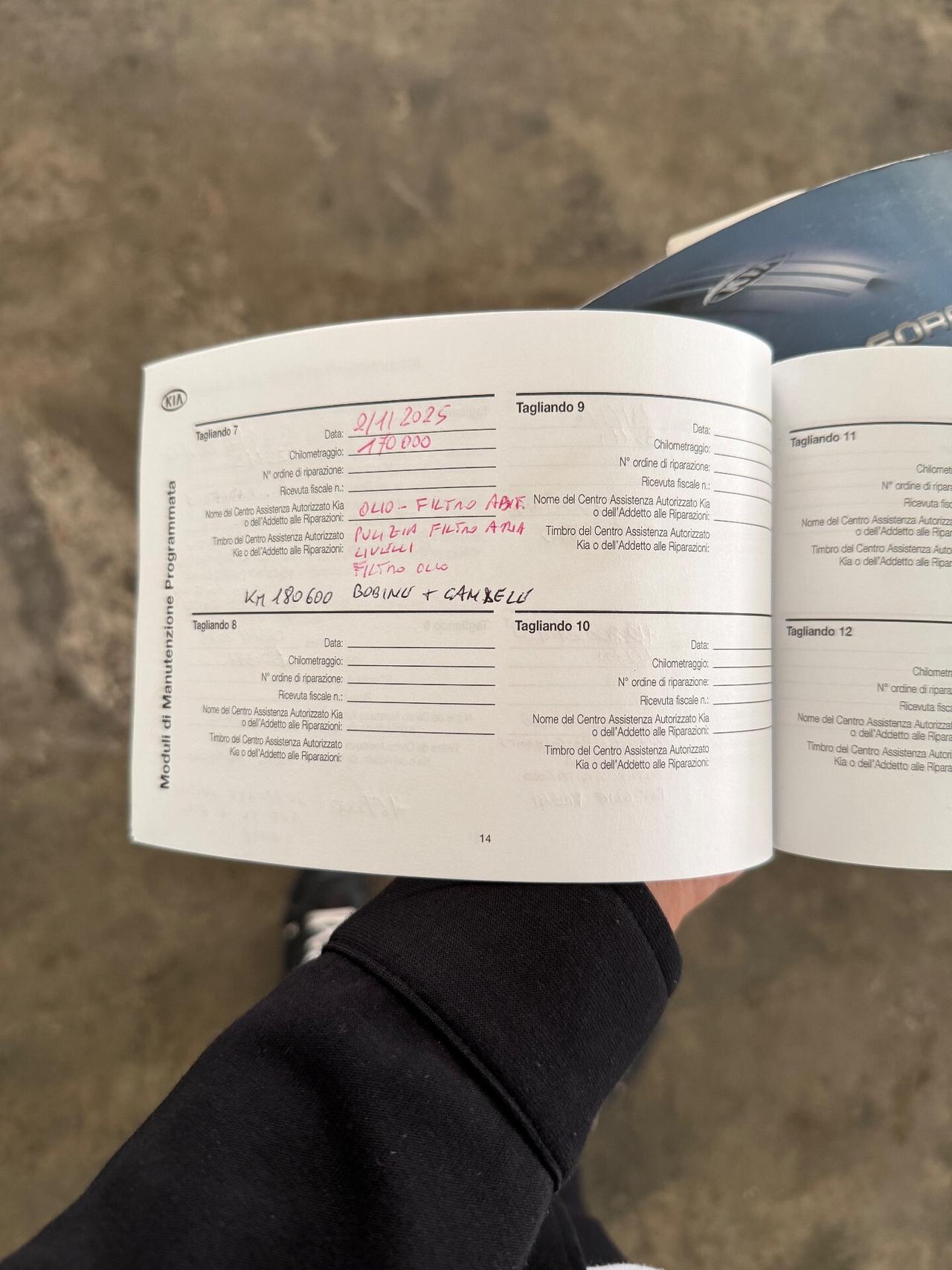 Kia Sorento Benzina e GPL Valido Clima Euro5