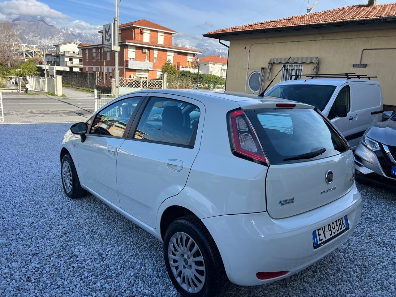 Fiat Punto 1.4 8V 5 porte Natural Power Street