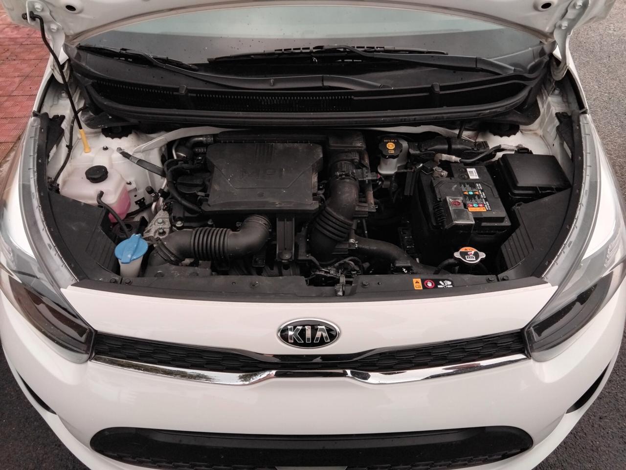 Kia Picanto 1.0 12V 5 porte City