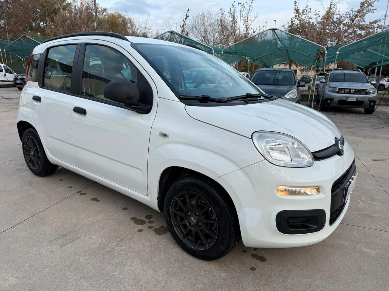 Fiat Panda 1.2 Easy NON PERFETTA DI CARROZZERIA
