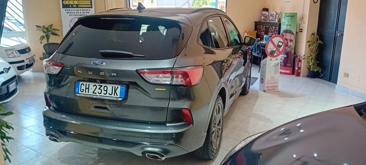 Ford Kuga 1.5 EcoBlue 120 CV aut. 2WD ST-Line