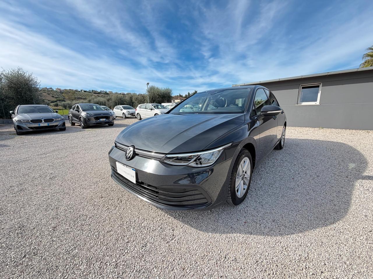 Volkswagen Golf VIII 2.0 TDI 115 cv manuale 64.120 km