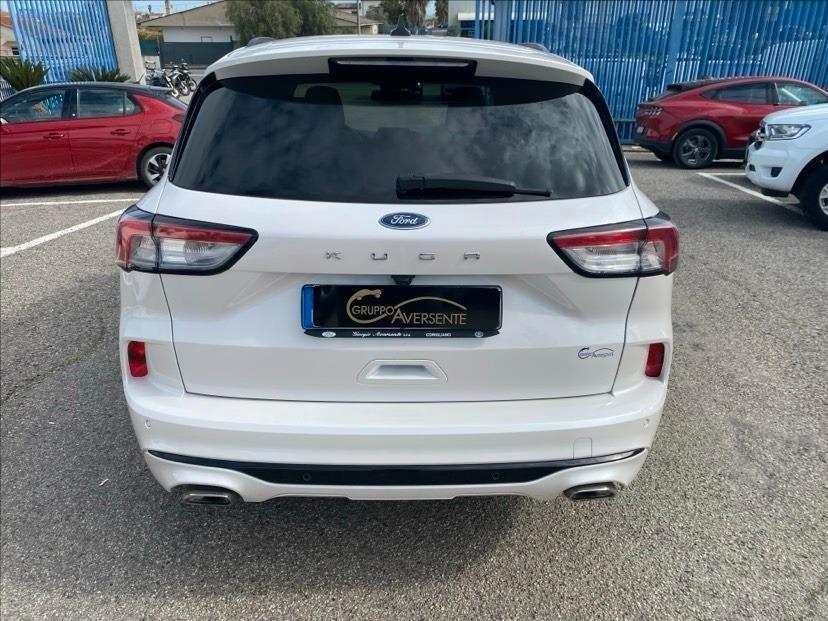 Ford Kuga 1.5 EcoBlue 120 CV aut. 2WD ST-Line X