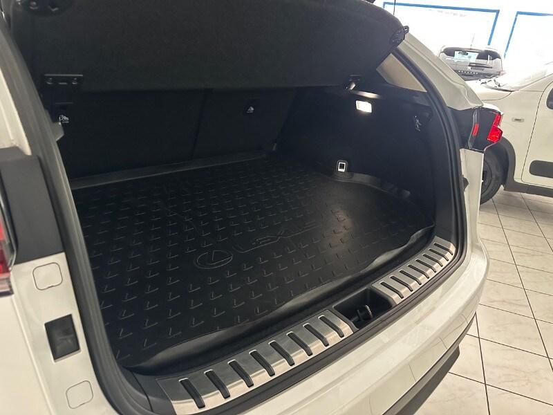 LEXUS NX 1ª serie NX Hybrid 4WD F-Sport