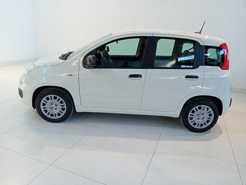 FIAT Panda Panda 1.0 FireFly S&S Hybrid
