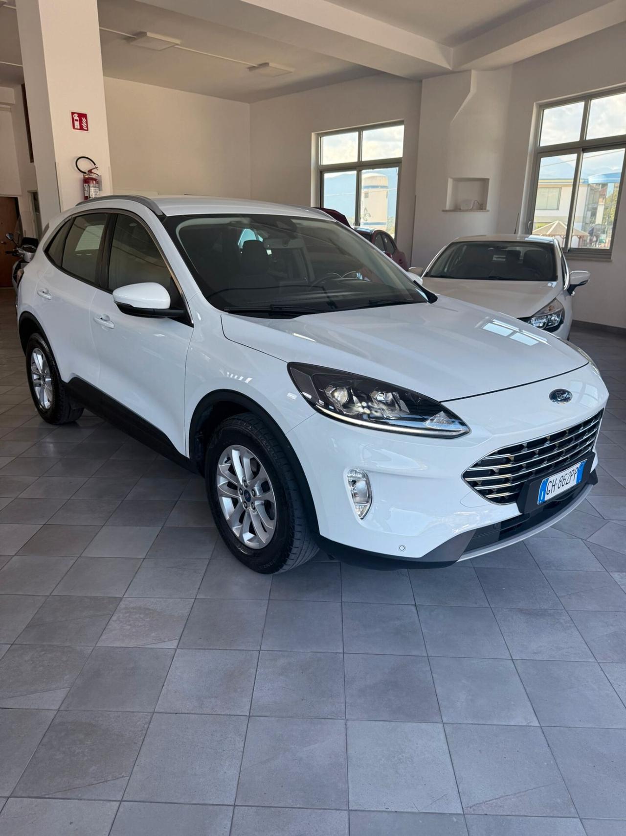 Ford Kuga 1.5 EcoBlue 120 CV aut. 2WD Titanium Business