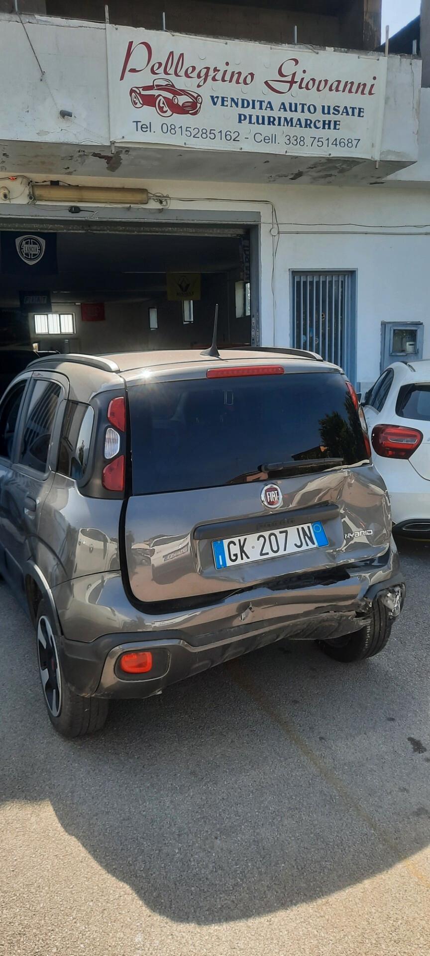 Fiat Panda 1.0 FireFly S&S Hybrid City Cross anno 2023