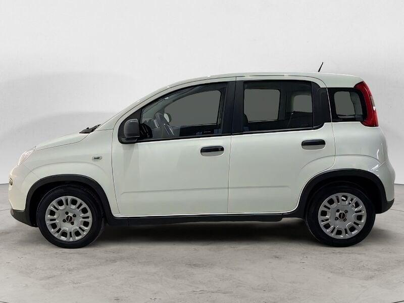 FIAT Panda Panda 1.0 FireFly S&S Hybrid