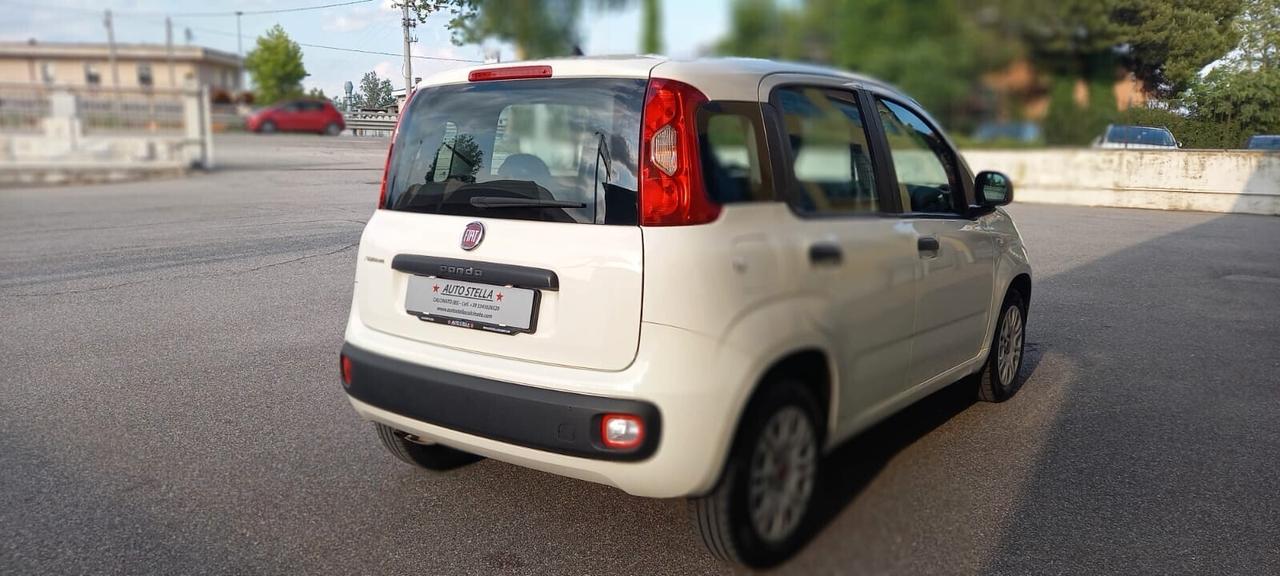 Fiat Panda Benzina cc. 1.242 5 Porte 5 Posti SOLO 55.075 Chilometri Utilizzabile anche per i Neopatentati.