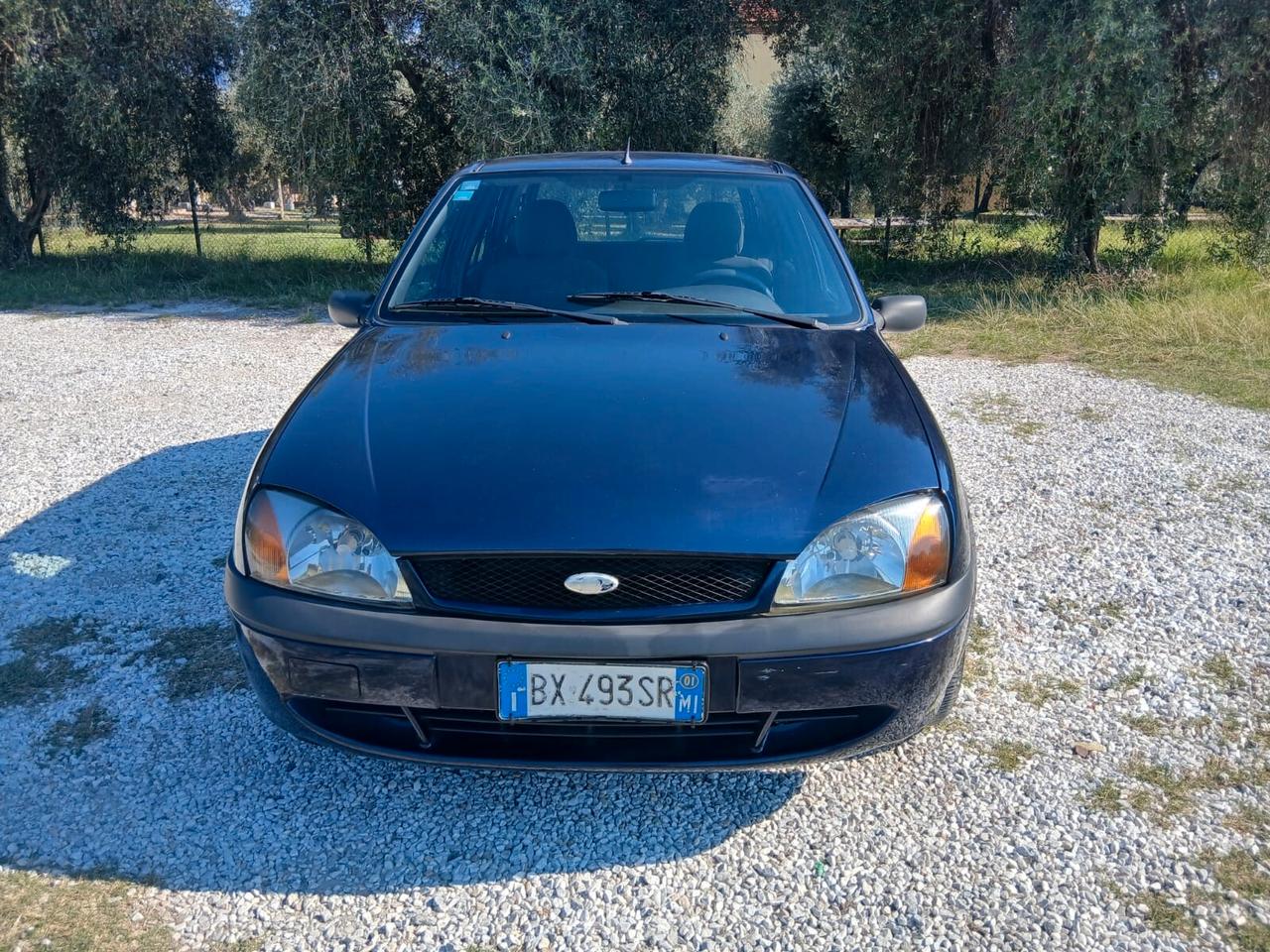 Ford Fiesta 1.2i 16V cat 5 porte Ambiente