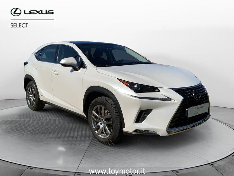 Lexus NX 1ª serie Hybrid 4WD Premium