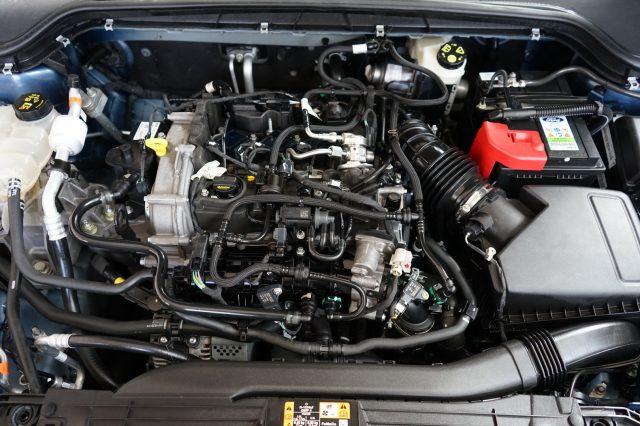 FORD Focus 1.0 EcoBoost Hybrid 125 CV 5p. ST-Line Design