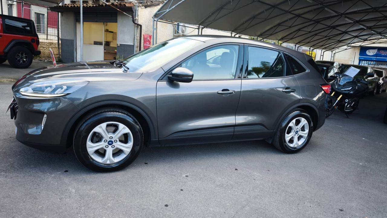 Ford Kuga 1.5 EcoBlue 120 CV aut. 2WD