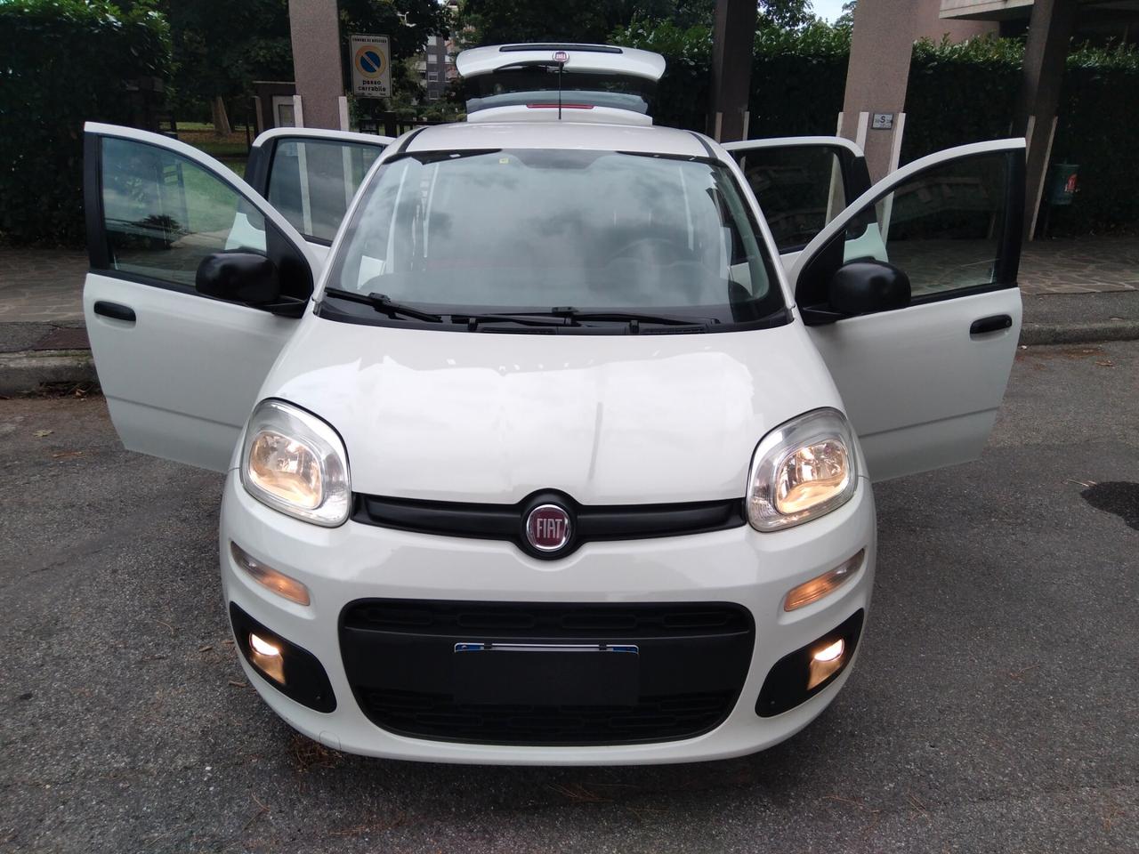 Fiat Panda 1.2 69cv Easy euro6 x neopatentati