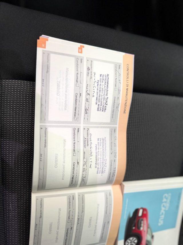 CITROEN C4 Cactus BlueHDi 100 Shine