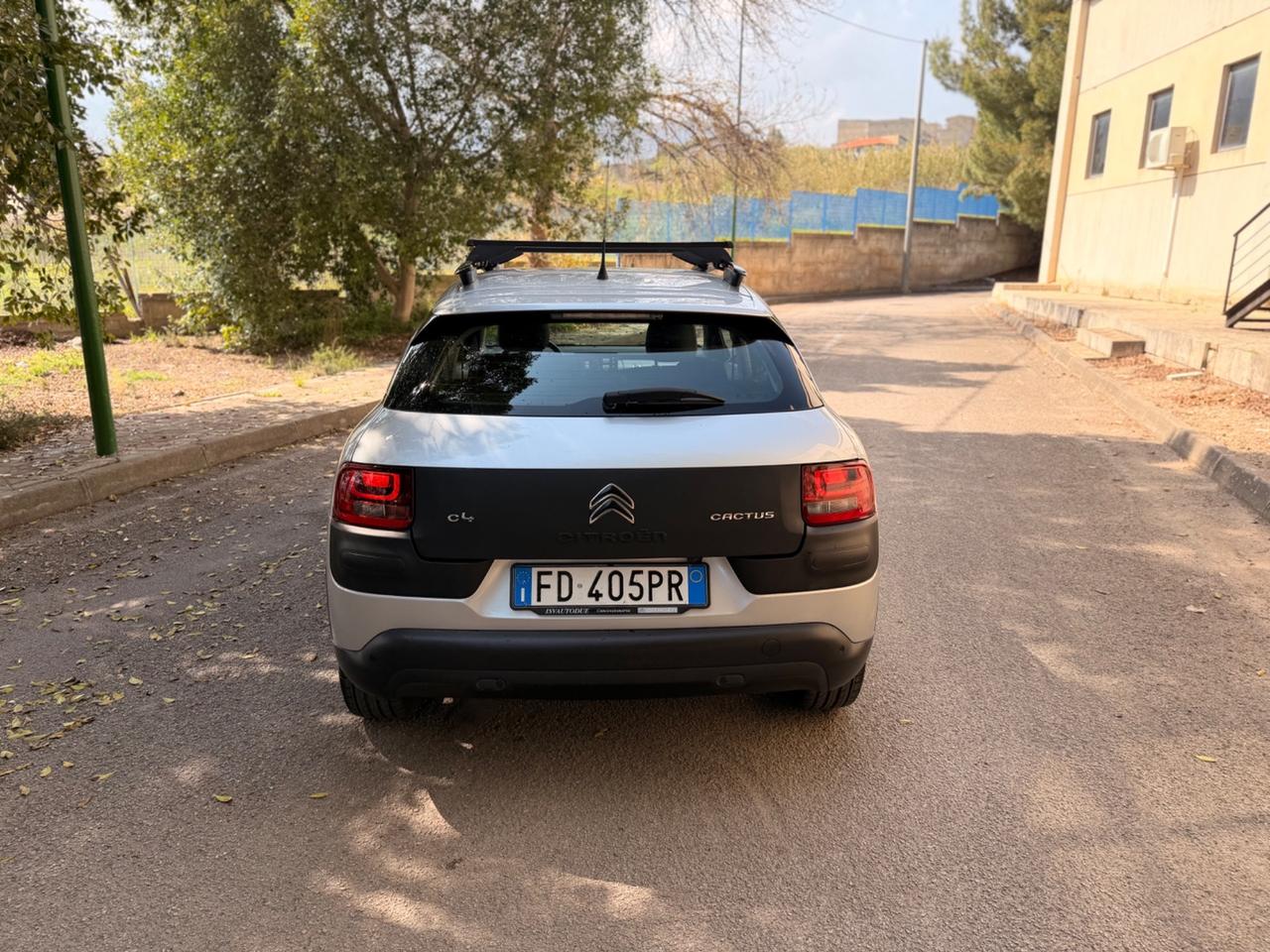 Citroen C4 Cactus BlueHDi 100 S&S ETG6 Shine